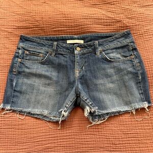 Freedom of Choice Shorts